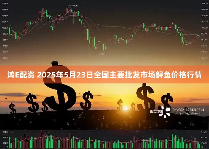 鸿E配资 2025年5月23日全国主要批发市场鲟鱼价格行情