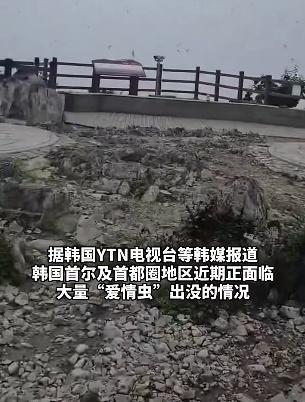 广瑞网 韩国首尔“爱情虫”爆发 民众困扰投诉激增