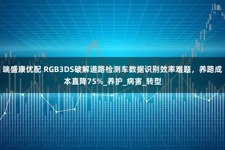端盛康优配 RGB3DS破解道路检测车数据识别效率难题，养路成本直降75%_养护_病害_转型