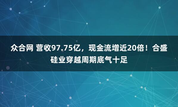 众合网 营收97.75亿，现金流增近20倍！合盛硅业穿越周期底气十足